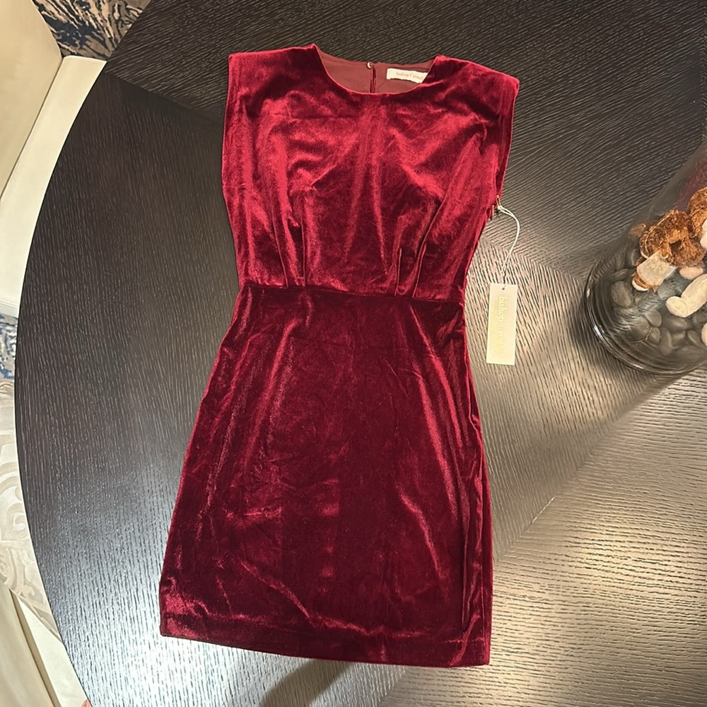 Bishop & Young Hayden red/burgundy Velvet Dress